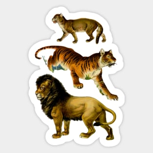 felines Sticker